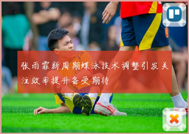 张雨霏新周期蝶泳技术调整引发关注效率提升备受期待