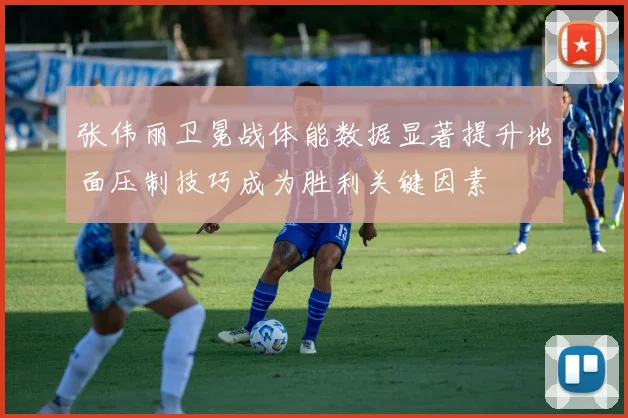 张伟丽卫冕战体能数据显著提升地面压制技巧成为胜利关键因素